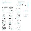Dimensions---walrus.webp