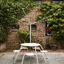 Acacia3.webp
