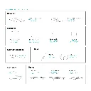 Dimensions---walrus2.webp