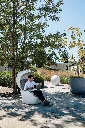 Keiseki_tree_terrace_laptop.webp
